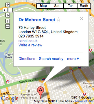 Google Map